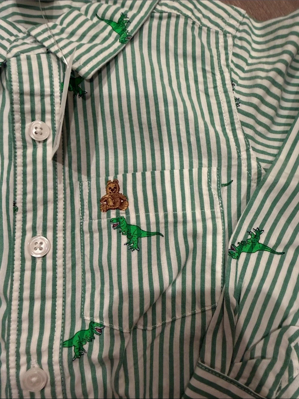 NEW! babyGap Brannan Bear Poplin Shirt in Green Dinosaur Size 4